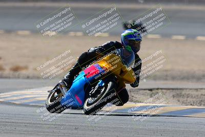 media/Feb-13-2022-SoCal Trackdays (Sun) [[c9210d39ca]]/Turn 14 (1130am)/